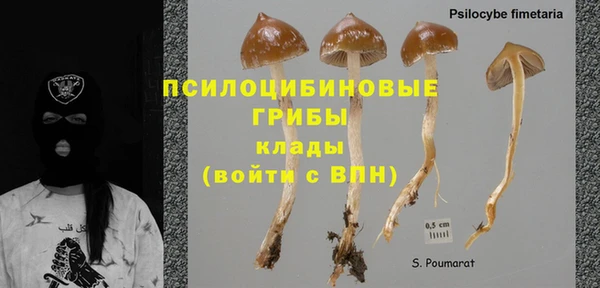 МДПВ Абинск