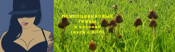 бошки Абаза