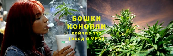 бошки Абаза