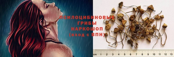 МДПВ Абинск